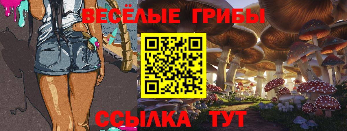 Галлюциногенные грибы Psilocybe  Вход с VPN  Мыски 
