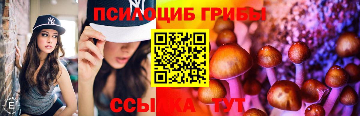 Галлюциногенные грибы Magic Shrooms Мыски
